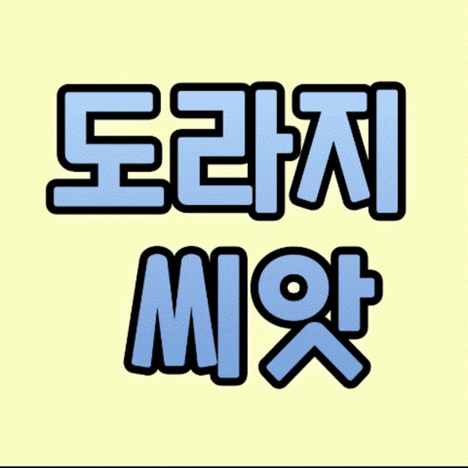 도라지씨앗 도라지종자 100g 길경 도라지씨 재배 원예, 1개