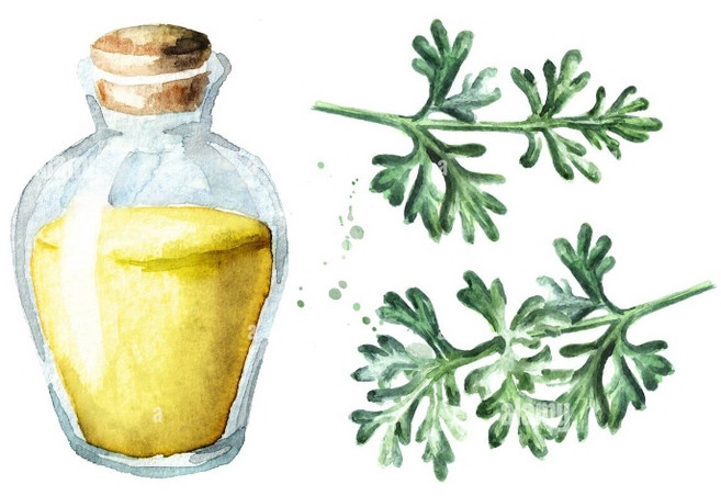 草本艾草低溫慢淬油 艾草安心油, 1個, 30ml裝