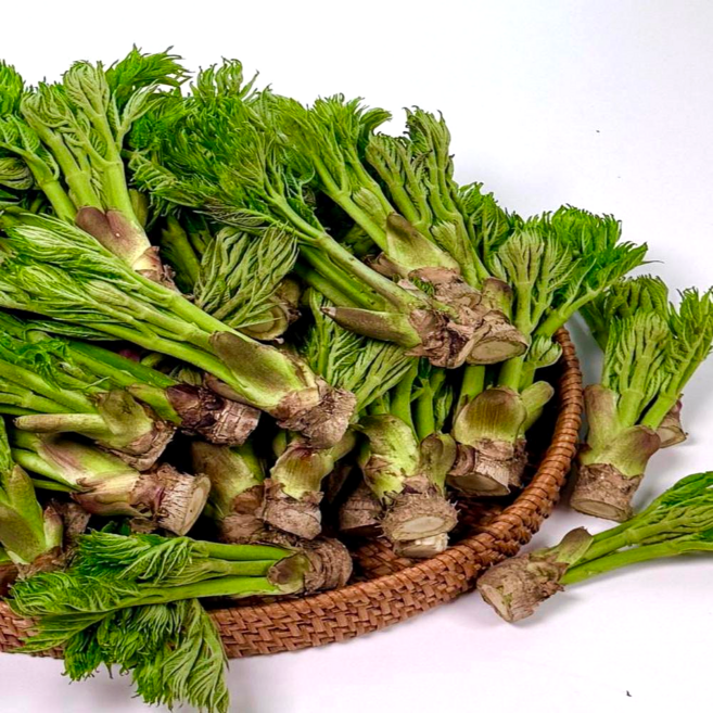 두리마켓 26년 햇 두릅 국내산 참두릅 특품 산지 봄나물, 1박스, 1kg
