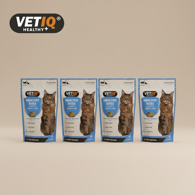 벳아이큐 헬시바이트 캣 영양간식, 4개, 65g