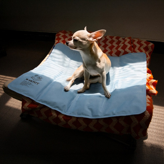 하웃 강아지 쿨매트 여름 냉감매트 애견 쿨방석, 1개