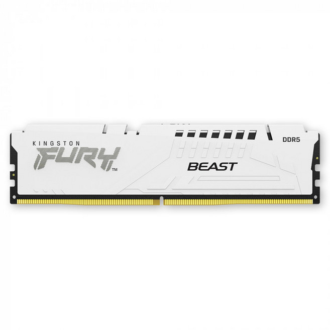 킹스톤 FURY DDR5-6000 CL30 Beast 화이트 코잇 (16GB), 1개