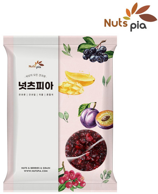 넛츠피아 건크랜베리, 1개, 1kg