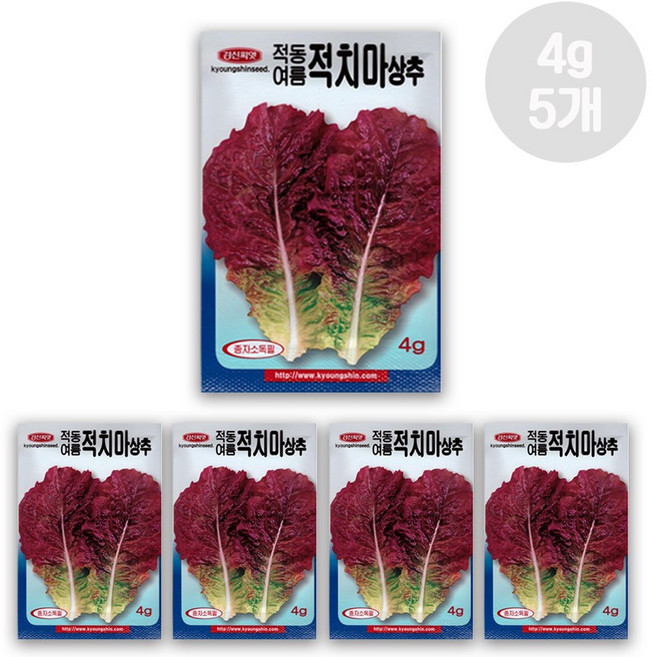 화분가드닝 적동여름 적치마 상추 씨앗 4g, 5개
