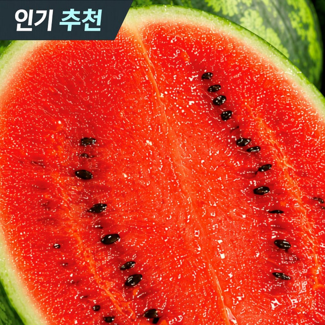 [재구매1위] 우수농가 고당도 수박 초특가, 1박스, 5kg