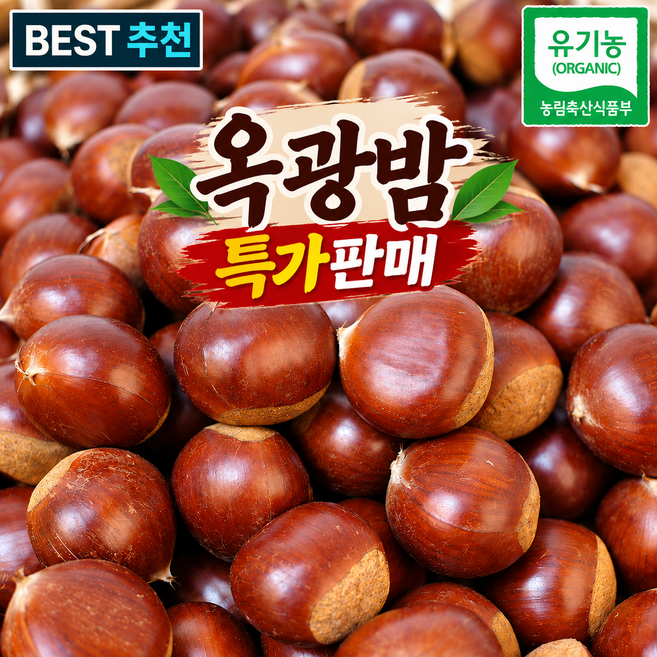 4위 - 유기농 공주 햇 옥광밤 대과, 1개, 1kg