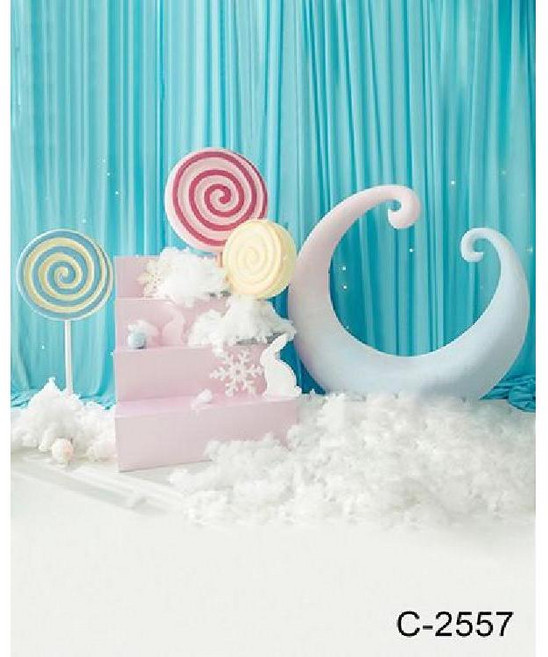 강아지포토존 애견포토존 설치 고양이 세트 부스 배경지 스튜디오 소품, C-2557, 1개