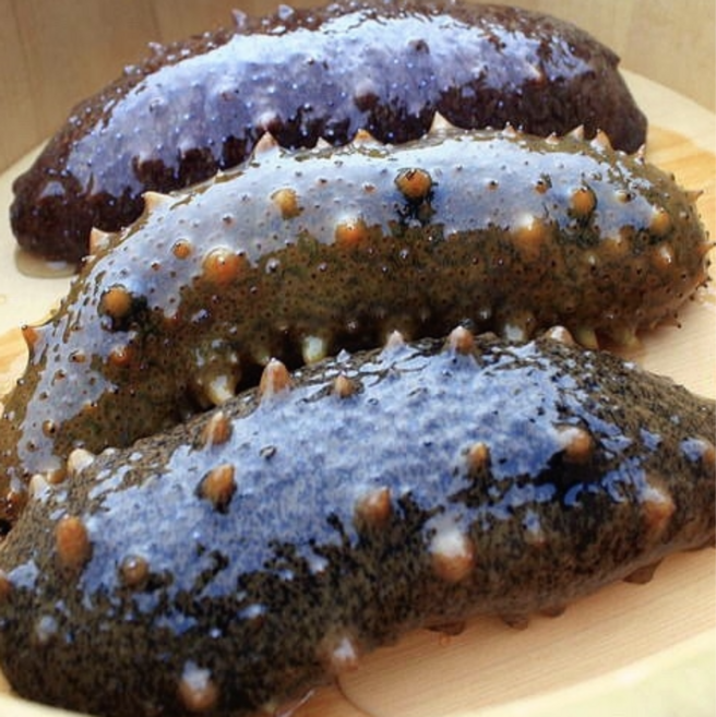 온기조은 국내산 통영 해삼 1kg 자연산, 1개