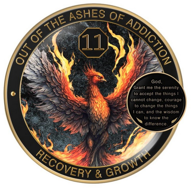 MilestoneMint Phoenix Sobriety Coin | AA 칩 메달리온 선물 세트 코인 캡슐 디스플레이 스탠드 및 카드 포함 냉정한 남성 및 여성을 위한 회, 11 Year