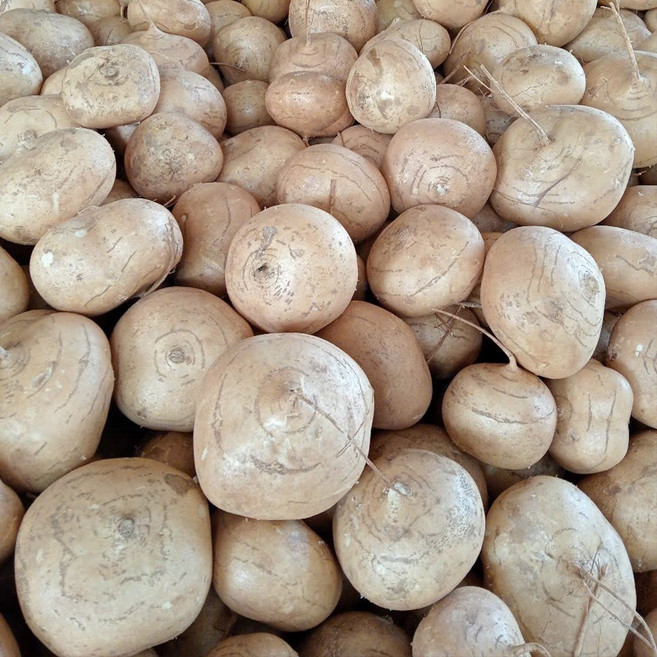 슈퍼푸드 베트남 히카마 아삭 달콤한 멕시코감자 얌빈 감자이, 1박스, 베트남 히카마 3kg