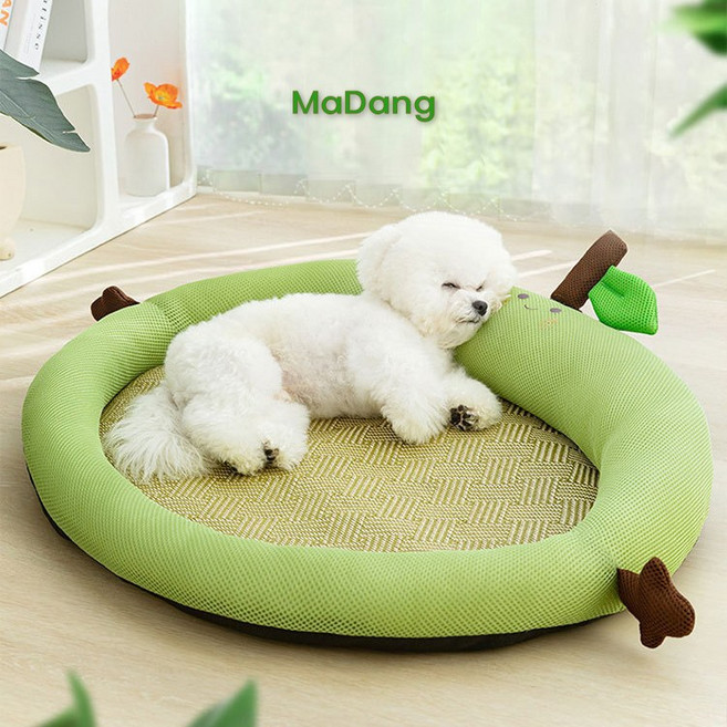 마당 반려동물 편안한 러블리컬러 푹신 과일방석 4계절매트, 1개, 그린애플