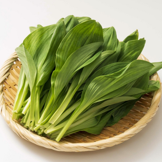 [산지직송] 나물투데이 국내산 명이나물 명이, 1개, 4kg