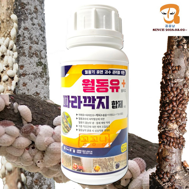 기계유제 농업용 기계유유제 대용 월동유 파라 깍지 합제 병해충 벌레 방제제 냉해 예방 500ml 월동기 봄 가을 과실수 유실수 방제 관리 나무 보호제 +계량컵 식물이름표 set