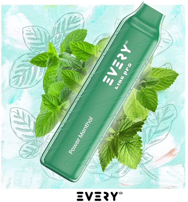 every 라인프로 대용량 입호흡 일회용 전자담배 8.5ml 6000퍼프, 파워멘솔, 1개, 브라운 - 쿠팡