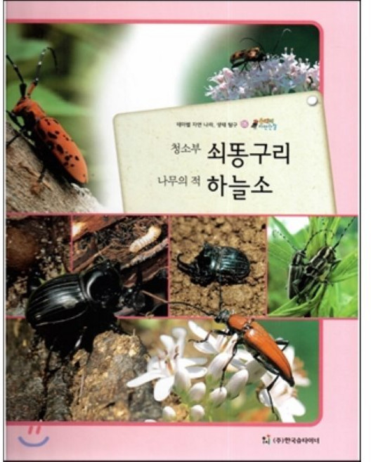 올빼미 자연관찰 05 청소부 쇠똥구리 나무의 적 하늘소 (곤충류), 한국슈타이너
