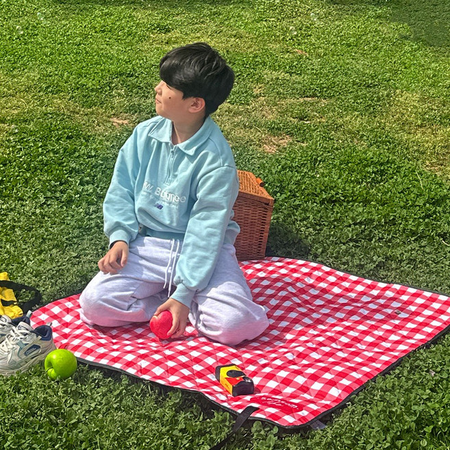 솜솜라이크 푹신한 1인용 돗자리 미니 방수 피크닉 매트, 레드