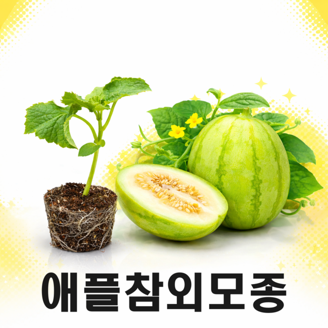 애플참외모종, 5개