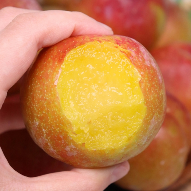 프리미엄 고당도 자두 인기품종 대형마트납품, 1박스, 1kg (특대)