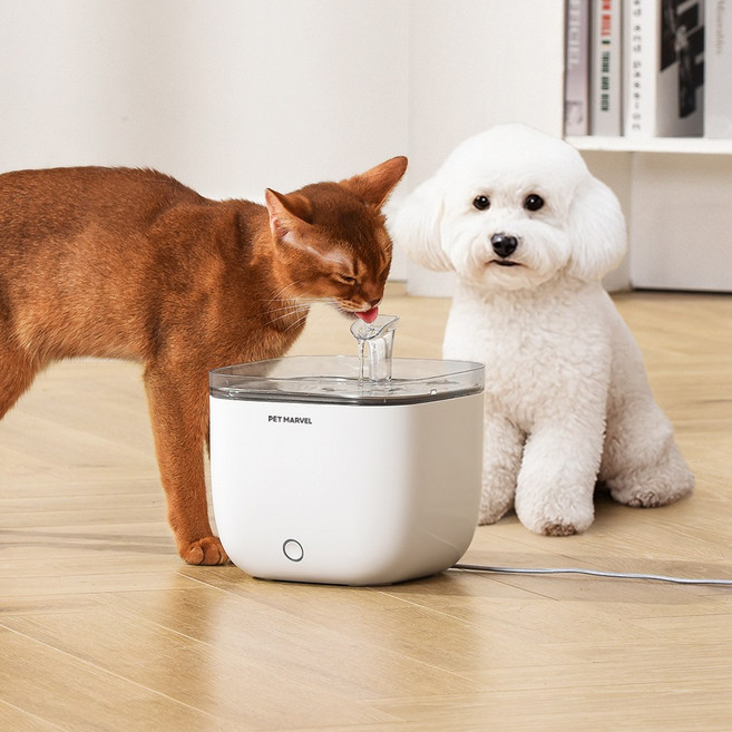 펫마블 2L 라이트 자동급수기 LY01 강아지 고양이 대용량 무선모터 분리형 급수기 반려동물 정수기, 1개, 화이트