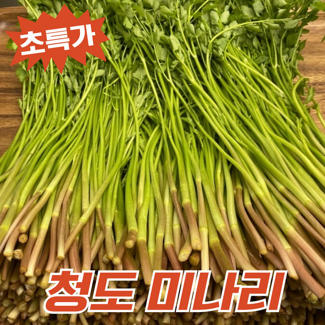 [산지직송] 청정재배 아삭한 제철 청도 미나리, 1kg, 1박스