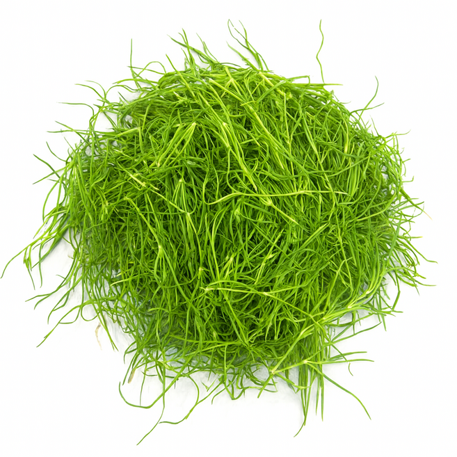 맛통령 세발나물, 1박스, 1kg