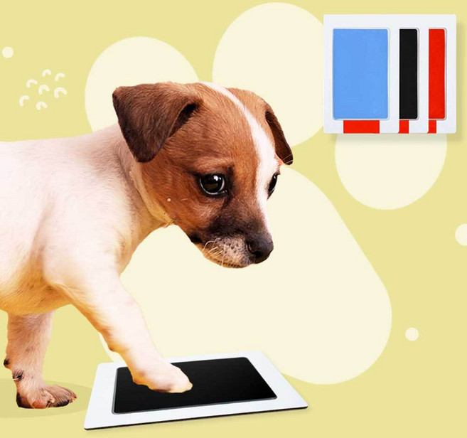 반려동물 발도장 고양이 반려견 강아지 발바닥 도장 애견 발자국 스탬프