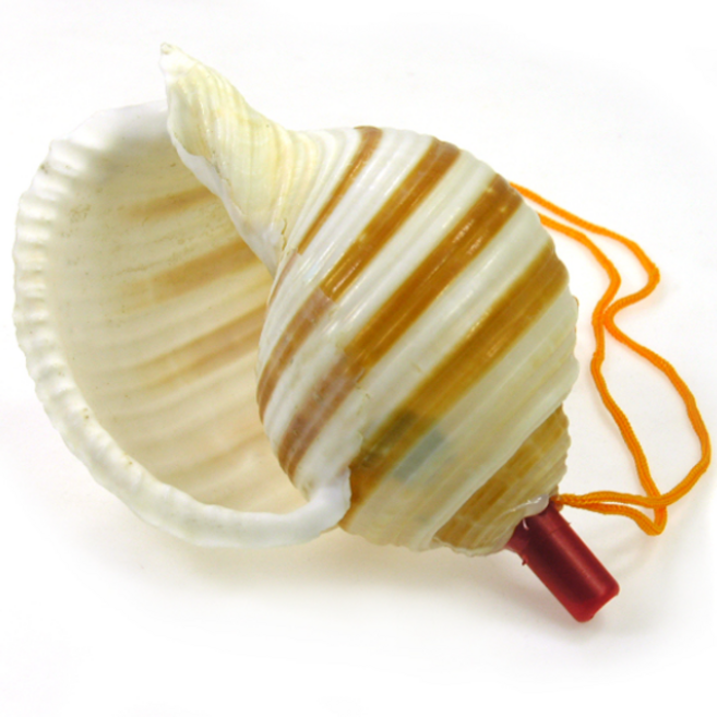 퍼니스쿨 소라피리 자연피리 소리나는 장난감 여름피리 피리, 1개, 대