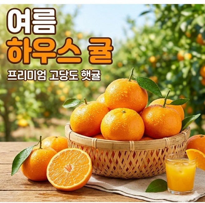 [왕꿀맛집]제주 하우스감귤 사계절달콤, 1박스, 하우스감귤(대)5KG