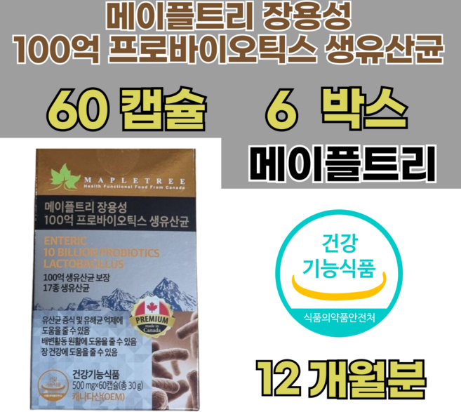 메이플트리 100억 프로바이오틱스 생유산균 500mg 60캡슐 6박스, 6개, 60회분