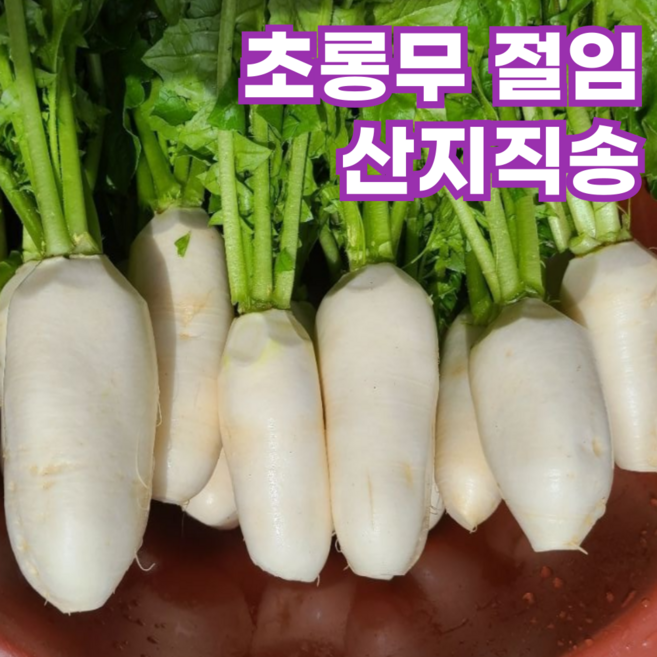 국내산 강원도 고랭지 절임알타리무 알타리 초롱 무 무우 절인, 1박스, 5kg