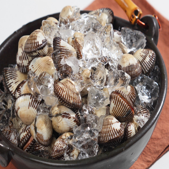 파도수산 산지직송 당일채취 살아서 도착하는 국내산 벌교 새 꼬막 1kg, 대 80알 내외, 2개