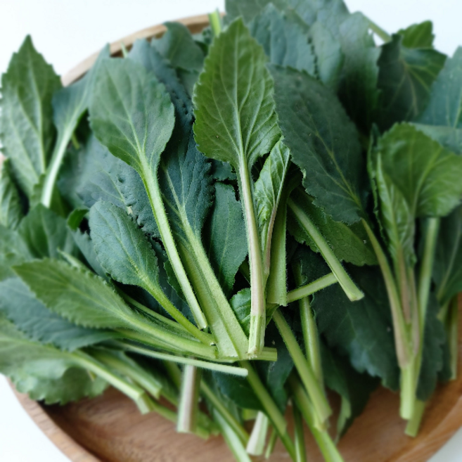 울릉도 부지갱이 부지깽이나물 쑥부쟁이 울릉도나물 생나물 취나물, 3kg, 1박스