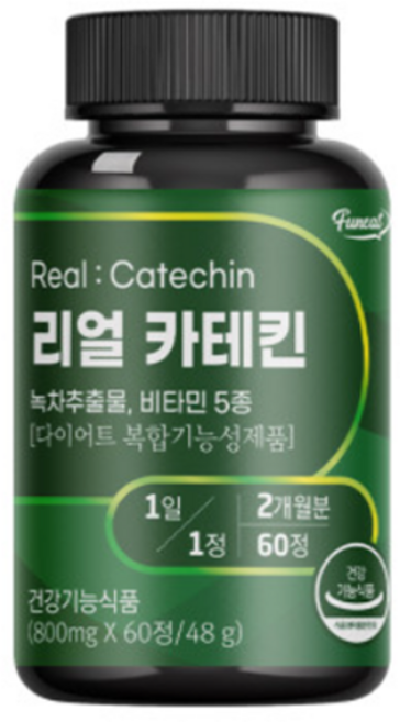 퍼니트 리얼 카테킨