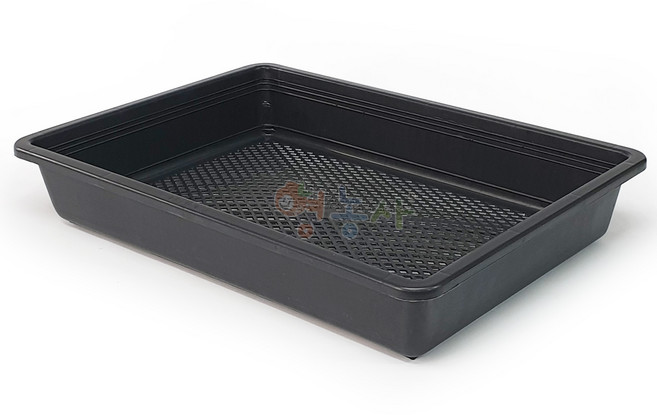 영농사 삽목상자 대, 블랙, 1개