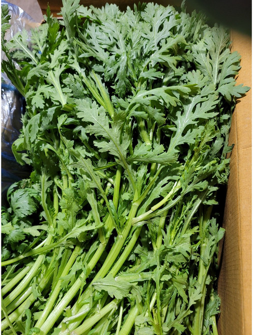 약수농장 국내산 쑥갓4kg, 1박스