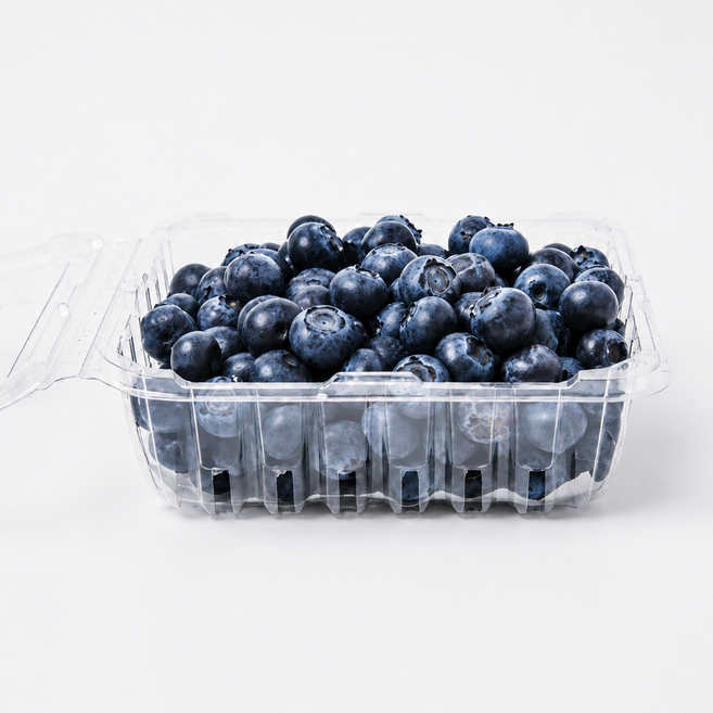 산지직송 당일수확 신선한 생 블루베리 국내산 고당도 프리미엄 특대과 18~20mm 신선포장 탱글한식감 새콤달콤, 10개, 100g