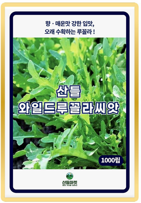 산들 와일드 루꼴라 씨앗 1000립 영양분 많고 부드러운 루꼴라씨 종자, 1개