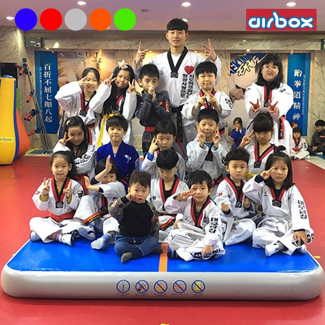 [에어박스] 에어 체육매트리스 두께20cm(길이8~10m), 블루, 1개