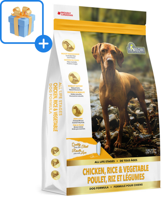 할로우 블렌드 할로사료 강아지 사료 CHICKEN RICE & VEGETABLE 1+1 (2.26kg x 2포) + 닭츄 랜덤 1P, 2.26kg, 2개, 닭