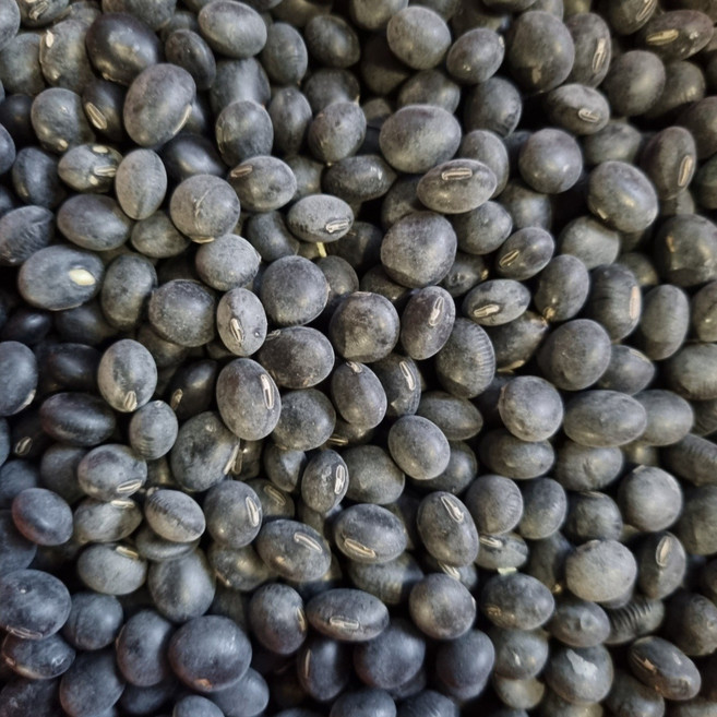 전남 곡성 산지직송 25년산 국산 햇 토종 서리태(속청) 국내산, 1kg, 1박스