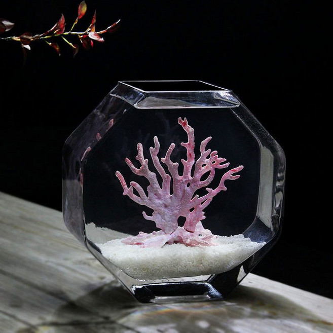 玻璃魚缸 花瓶 水培器皿 桌面小型魚缸, 1個, 大號魚缸+套餐9