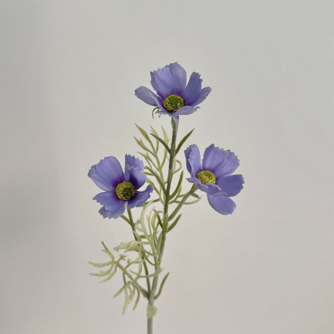 生活大獅 格桑花波斯菊花束 仿真波斯菊 居家裝潢假花束, 1個, 藍紫色 / 一支