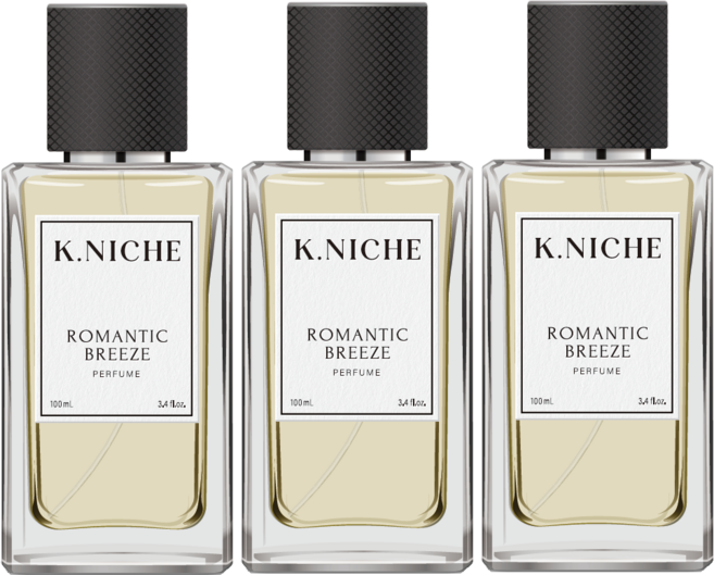 케이니치 로멘틱브리즈 남자 여자 향수 오드퍼퓸, 100ml, 3개