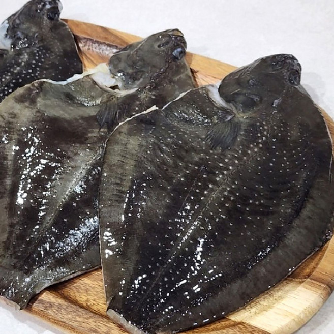 국내산 손질 급냉 도다리 2kg 신선한 흰살 생선 요리 ggu+05979vQ, 1개