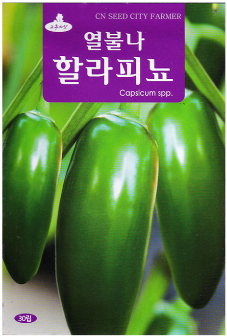 열불나 할라피뇨 30립 고추 씨앗 멕시코 고추씨 종자, 1개