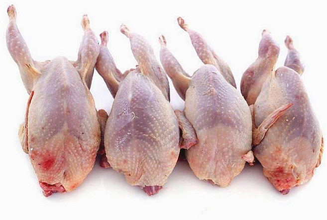 (배터짐) 업소용 해썹인증 후레쉬 생지 메추리 50마리 메추리구이 메추리알 메추리고기 메추라기 도매 (일요일&당일발송), 750g, 5개