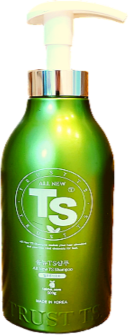 TS샴푸 프리미엄 올 뉴 바이오틴 대용량 탈모 증상 완화 예방 샴푸 500ml 1개, 500g