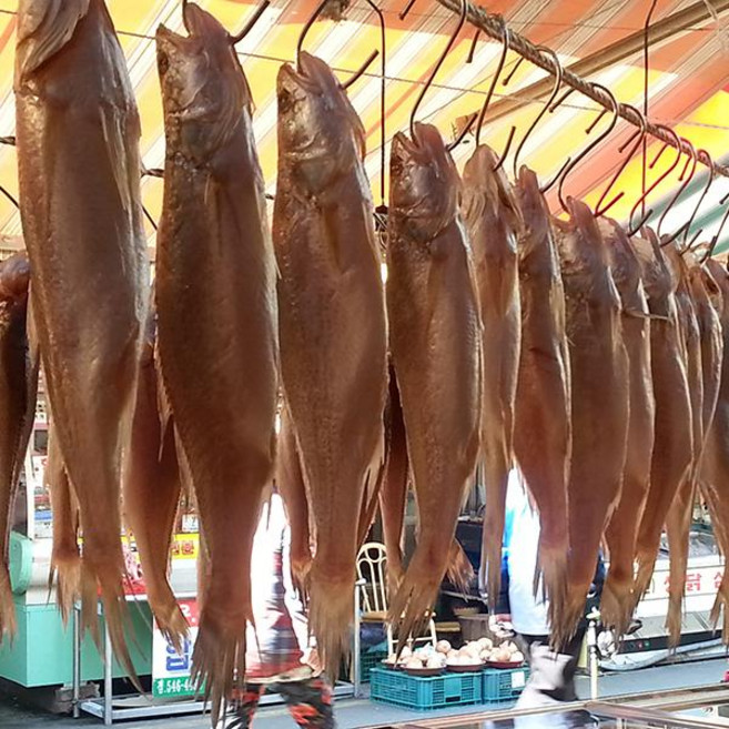 싱싱수산 제수용 뾰족조기5미(28~31cm내외), 단품