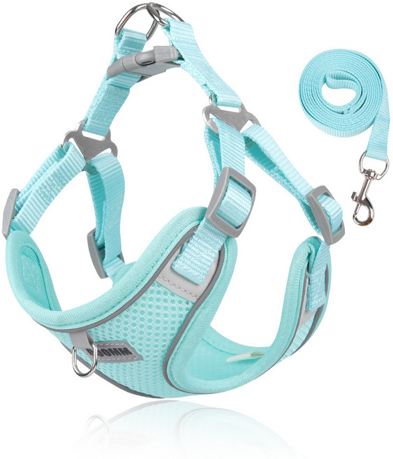 디아쿠아 강아지 고양이 겸용 야광 빛반사 쿨 메쉬 하네스+리드줄, 민트
