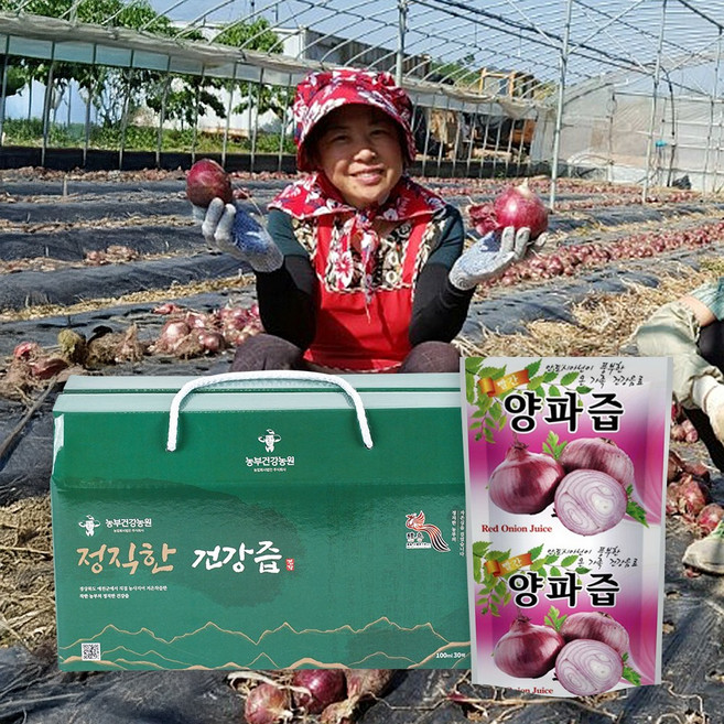 정직한 자색 양파즙 솔잎 새순첨가 100ml 30포 빨간양파 적양파 진액, 30개